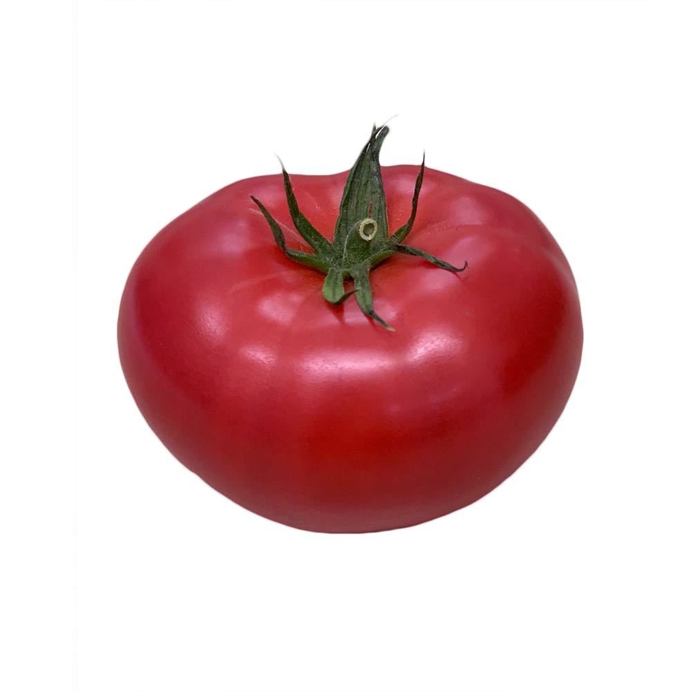 Kawaguchi Tomate