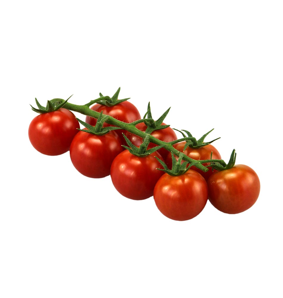 Aromatika Rispe - Solanum lycopersicum -