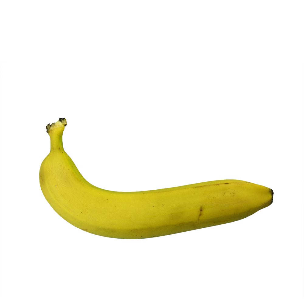 Bananen - Musa- 