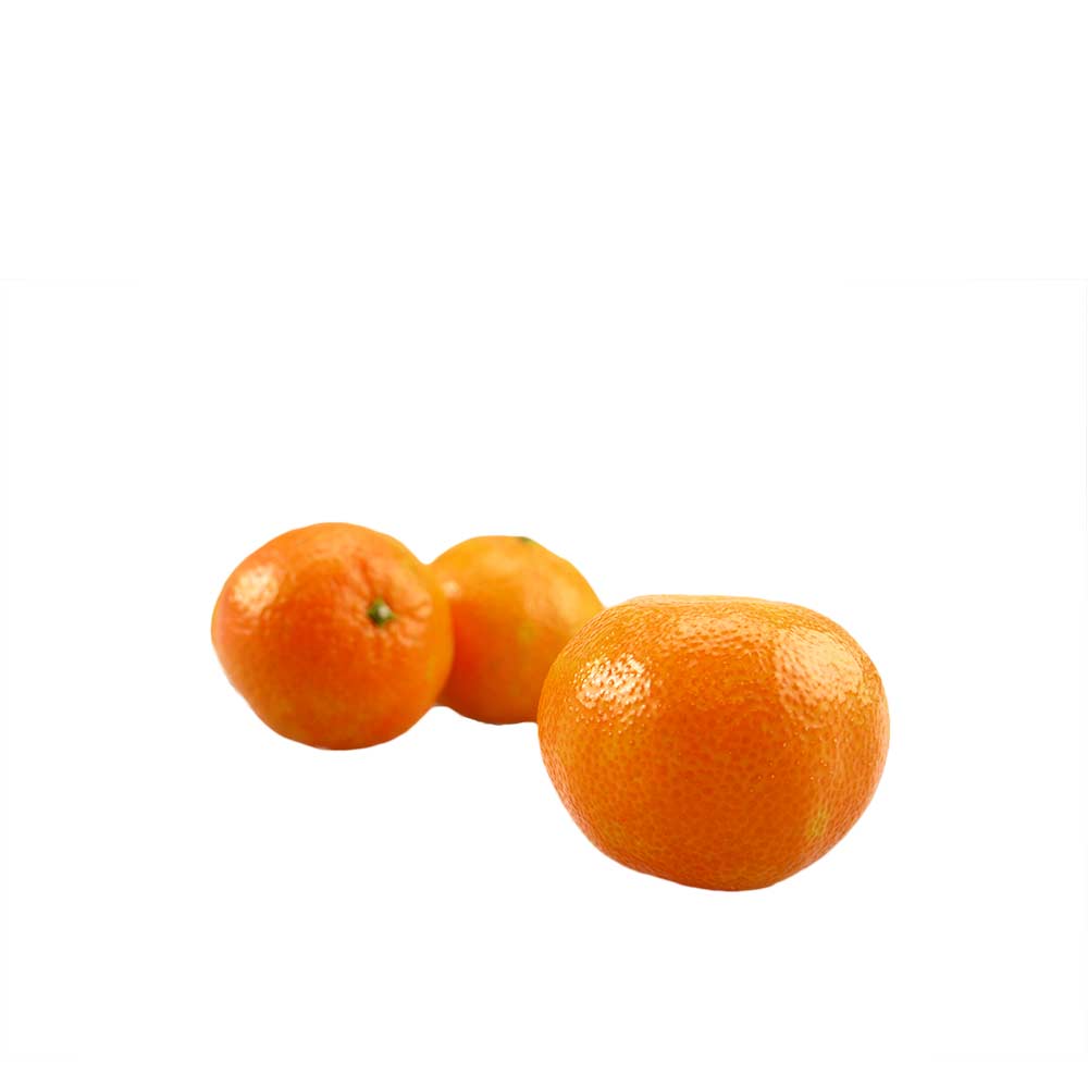 Mandarine - Citrus reticulata  - 
