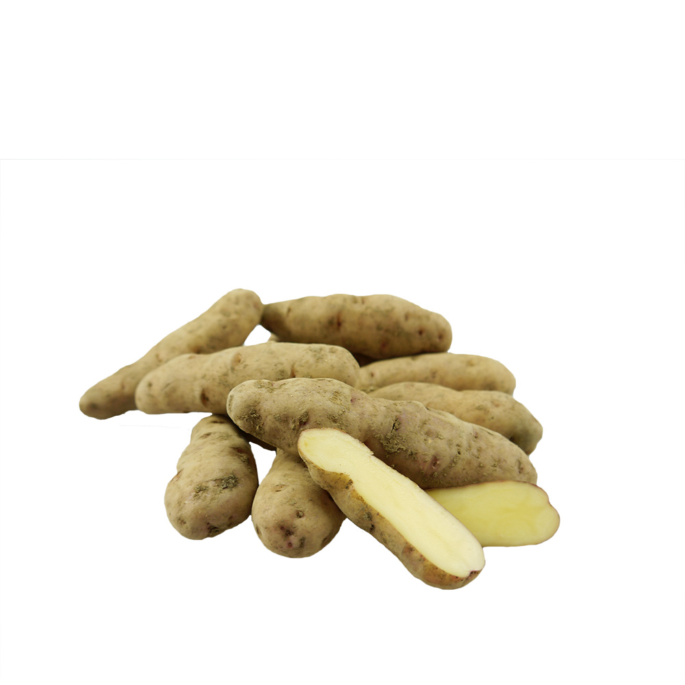 Kartoffeln - Bamberger Krumbeere