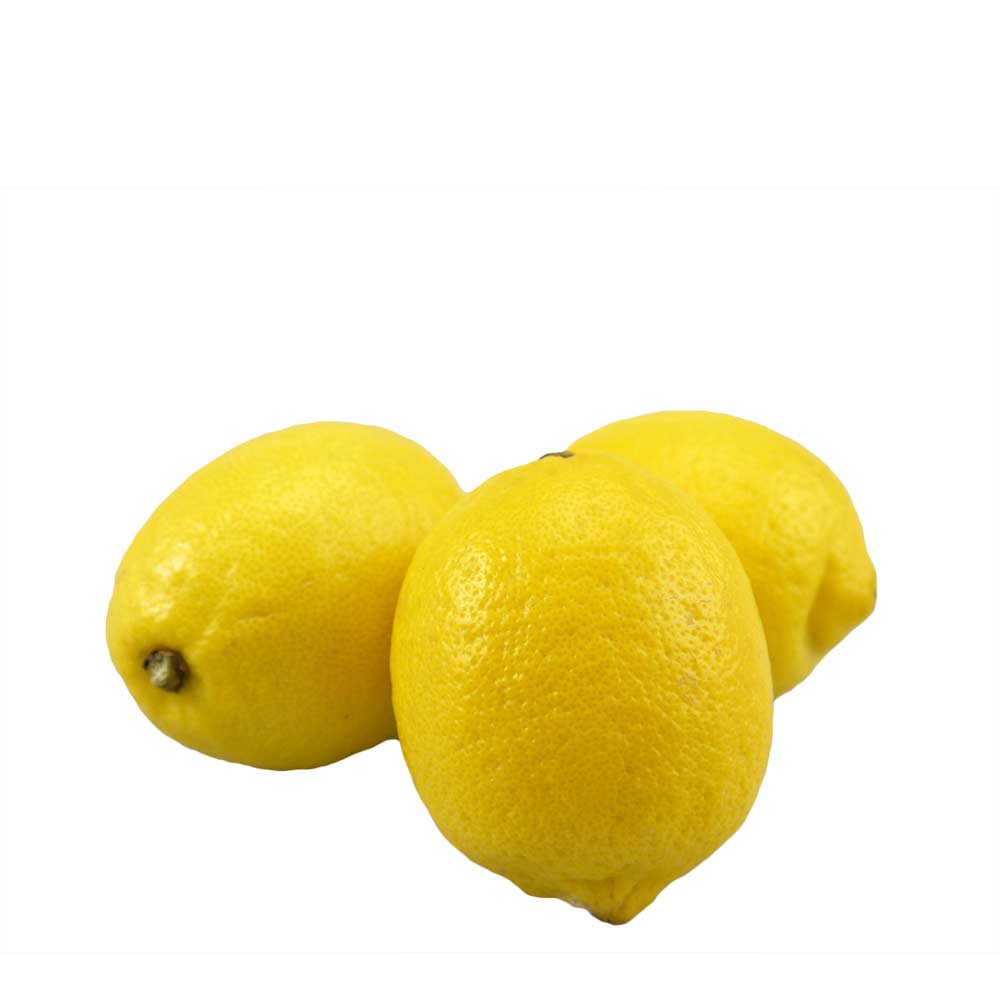 Zitrone - Citrus x limon - 