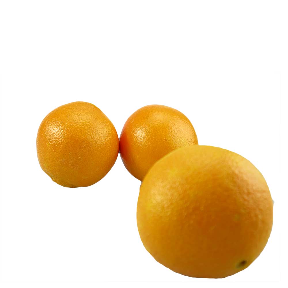 Orange - Citrus × sinensis L. - 