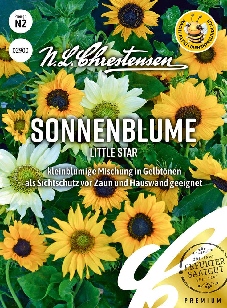 Sonnenblume  Samen (Little Star)