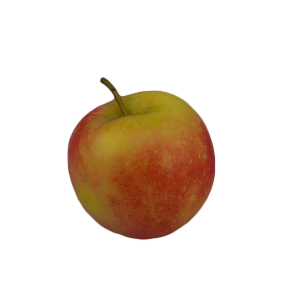 Apfel - Rockit