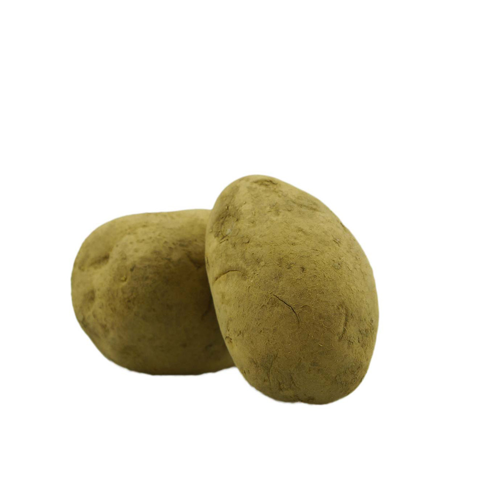 Kartoffeln - Soraya- vorwiegend festkochend