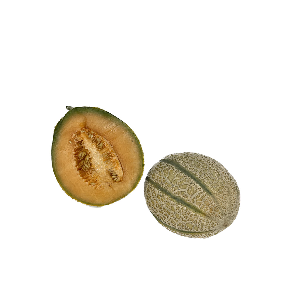 Charentais Melone
