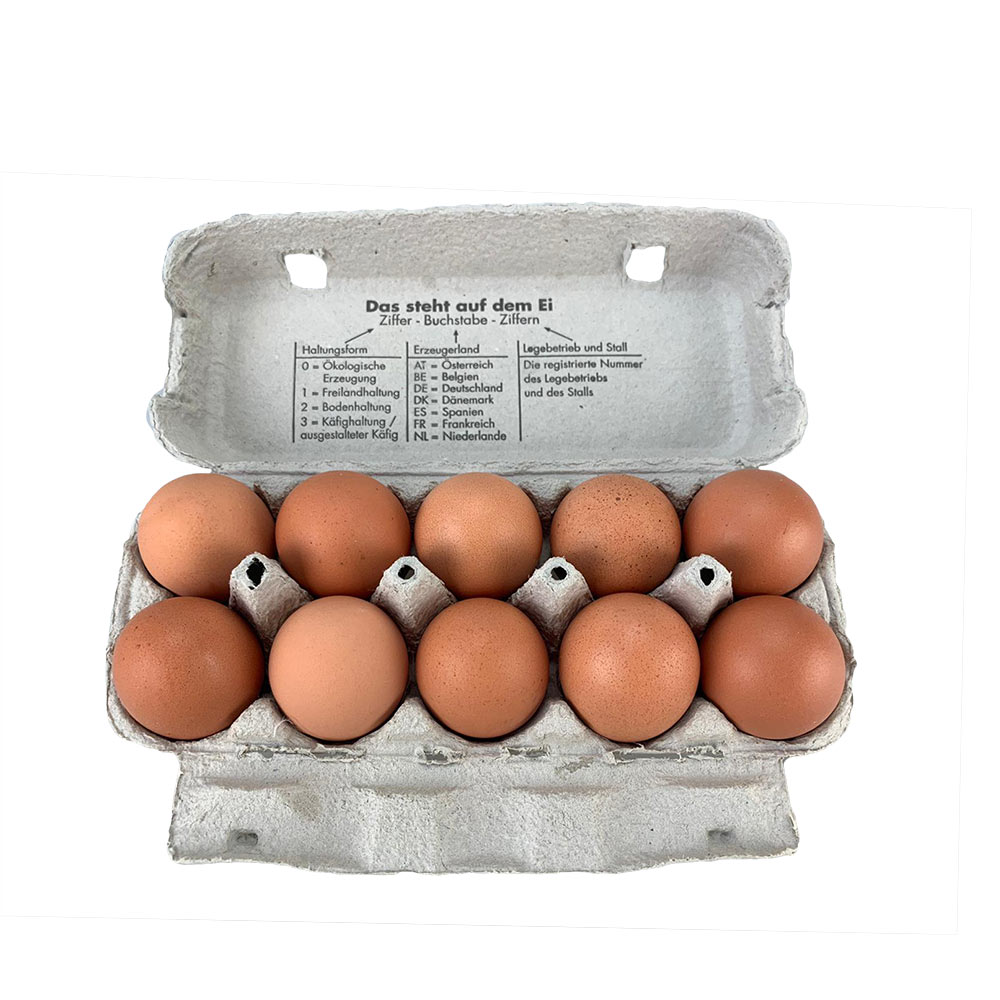 Eier aus Freilandhaltung 10er Karton Größe L
