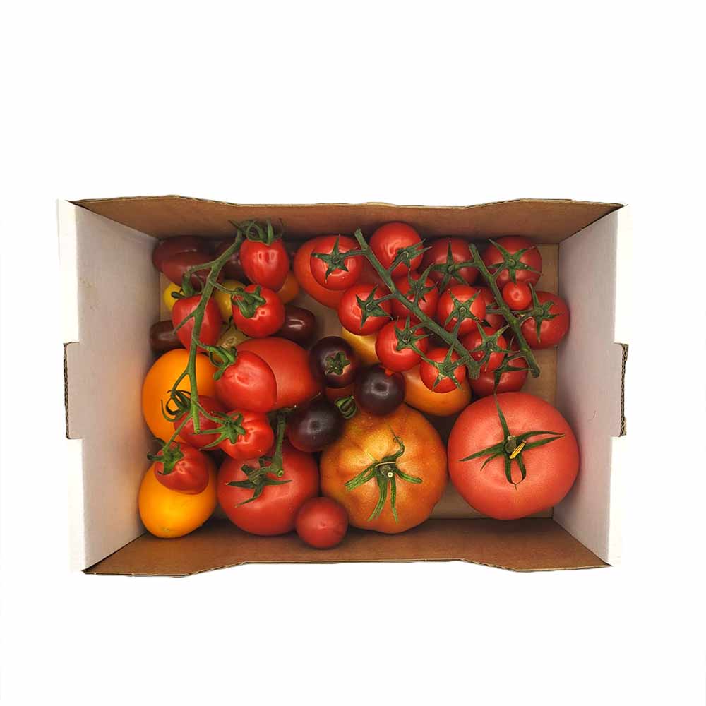 Tomaten Kiste gemischt - 1,5 kg