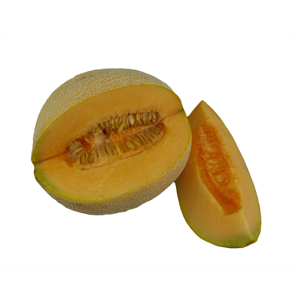 Cantaloupemelone - Cucumis melo - 