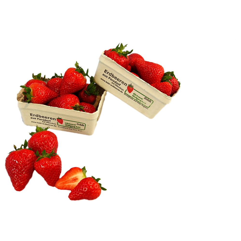 Erdbeeren 500g Schale