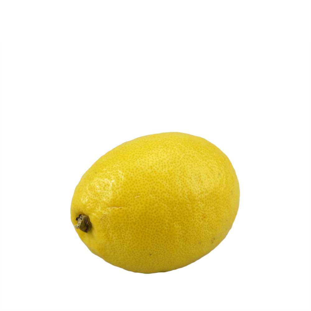 Zitrone - Citrus x limon - 